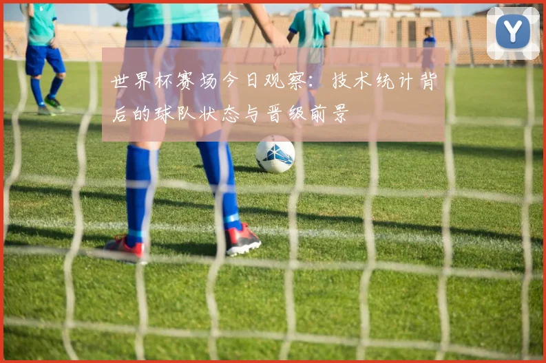 世界杯赛场今日观察：技术统计背后的球队状态与晋级前景