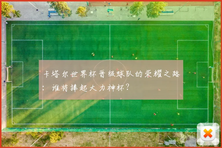 卡塔尔世界杯晋级球队的荣耀之路：谁将捧起大力神杯？