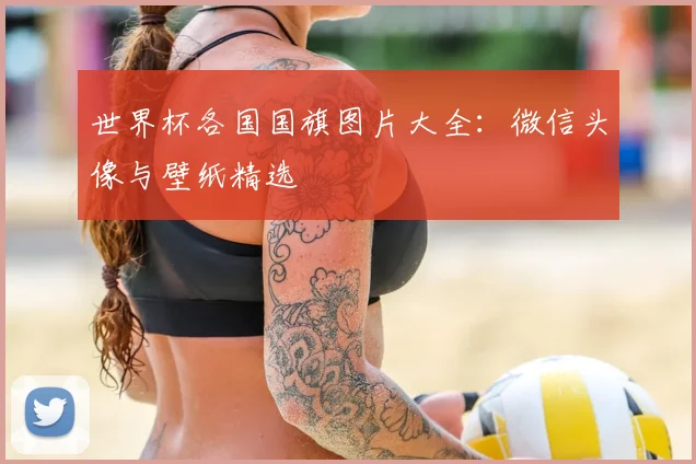 世界杯各国国旗图片大全:微信头像与壁纸精选