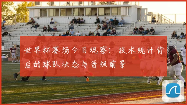 世界杯赛场今日观察：技术统计背后的球队状态与晋级前景