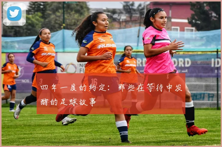 四年一度的约定:那些在等待中发酵的足球故事