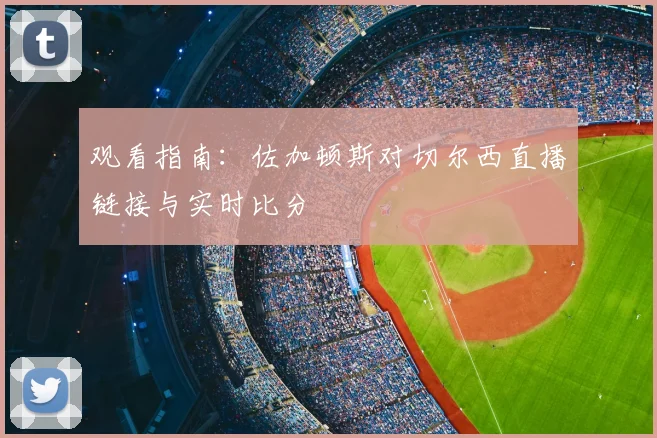 观看指南：佐加顿斯对切尔西直播链接与实时比分