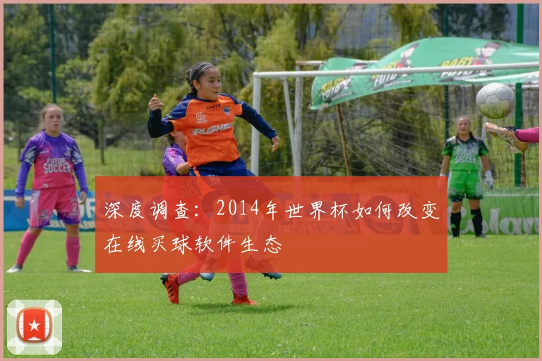 深度调查：2014年世界杯如何改变在线买球软件生态