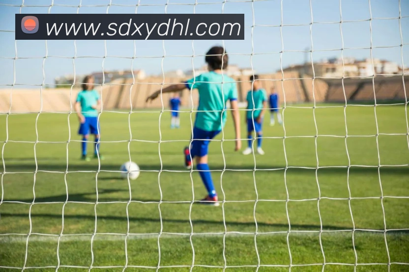 多媒体互动体验